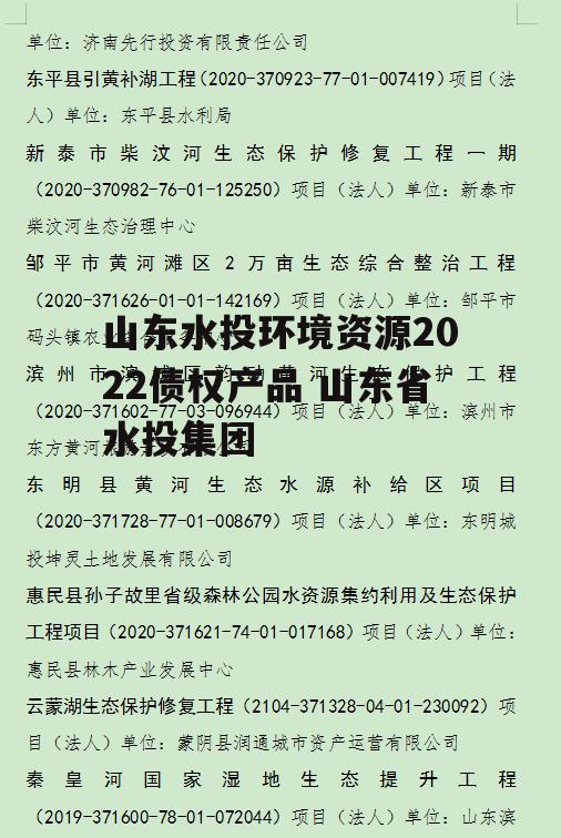 山东水投环境资源2022债权产品 山东省水投集团