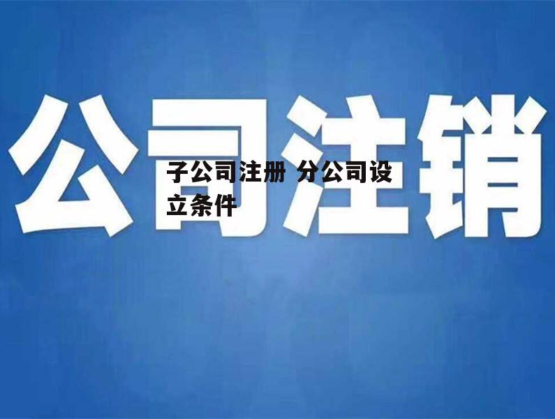 子公司注册 分公司设立条件