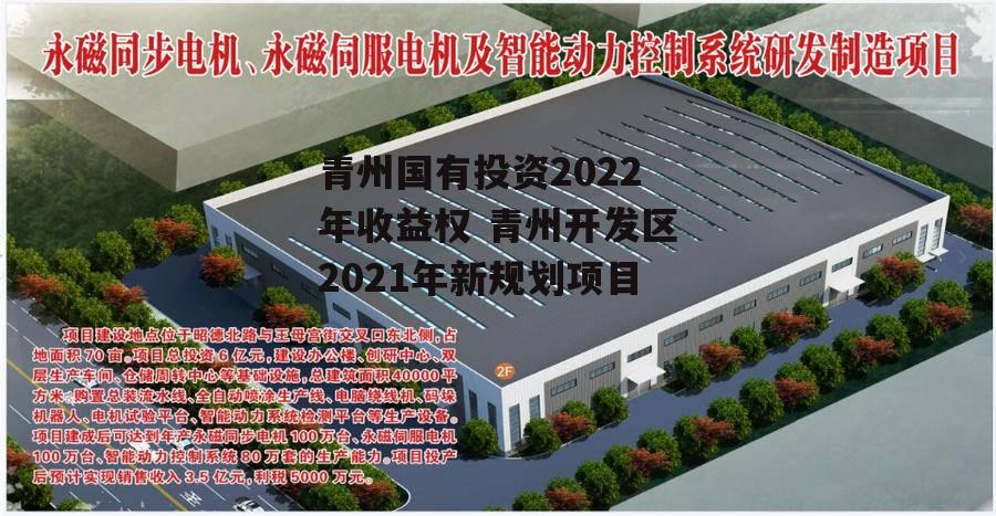 青州国有投资2022年收益权 青州开发区2021年新规划项目