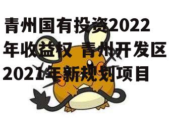 青州国有投资2022年收益权 青州开发区2021年新规划项目