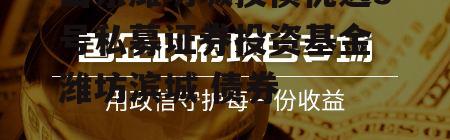 山东潍坊城投债优选3号私募证券投资基金 潍坊滨城 债券