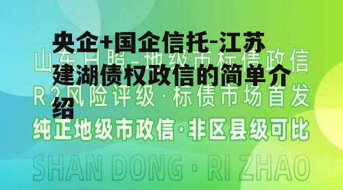 央企+国企信托-江苏建湖债权政信的简单介绍