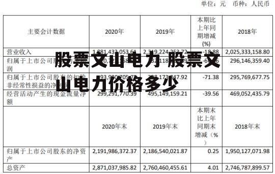 股票文山电力 股票文山电力价格多少