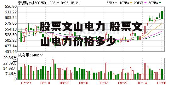 股票文山电力 股票文山电力价格多少