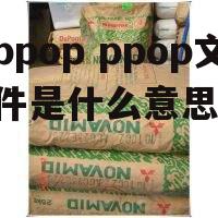 ppop ppop文件是什么意思