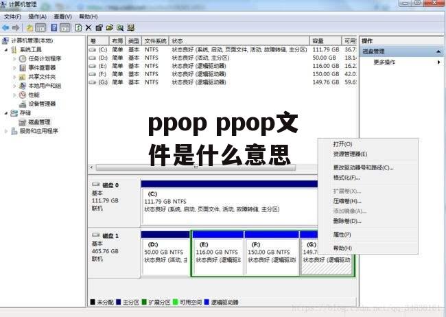 ppop ppop文件是什么意思