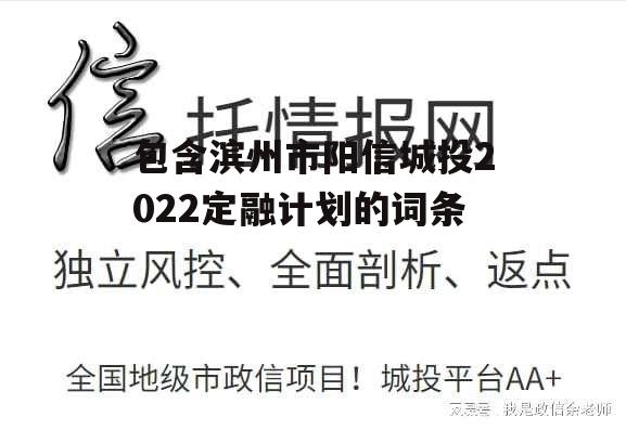 包含滨州市阳信城投2022定融计划的词条