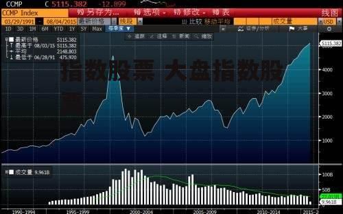 指数股票 大盘指数股票