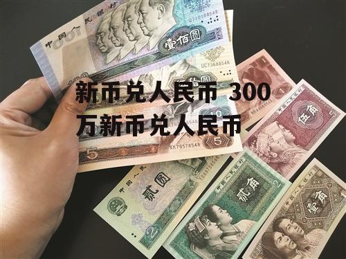 新币兑人民币 300万新币兑人民币