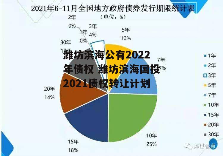 潍坊滨海公有2022年债权 潍坊滨海国投2021债权转让计划