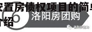 河南洛阳涧西区兴隆寨安置房债权项目的简单介绍