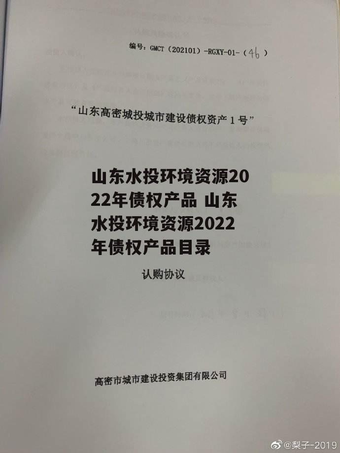 山东水投环境资源2022年债权产品 山东水投环境资源2022年债权产品目录