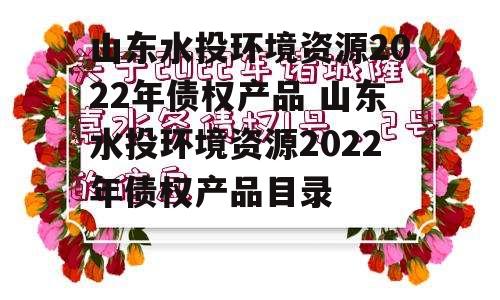 山东水投环境资源2022年债权产品 山东水投环境资源2022年债权产品目录