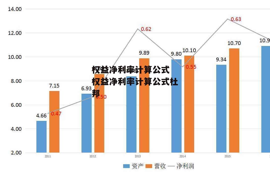 权益净利率计算公式 权益净利率计算公式杜邦