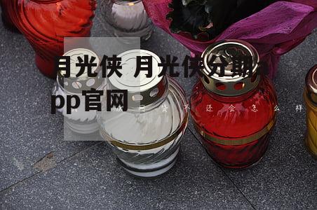 月光侠 月光侠分期app官网