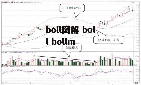 boll图解 boll bollm