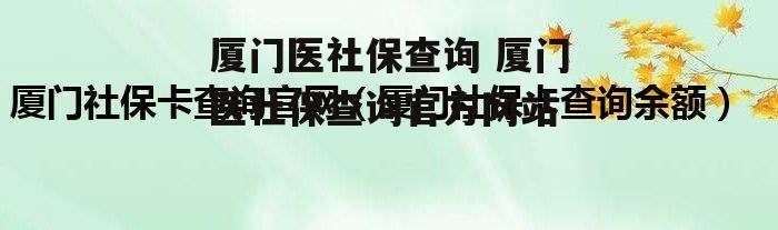 厦门医社保查询 厦门医社保查询官方网站