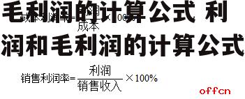 毛利润的计算公式 利润和毛利润的计算公式