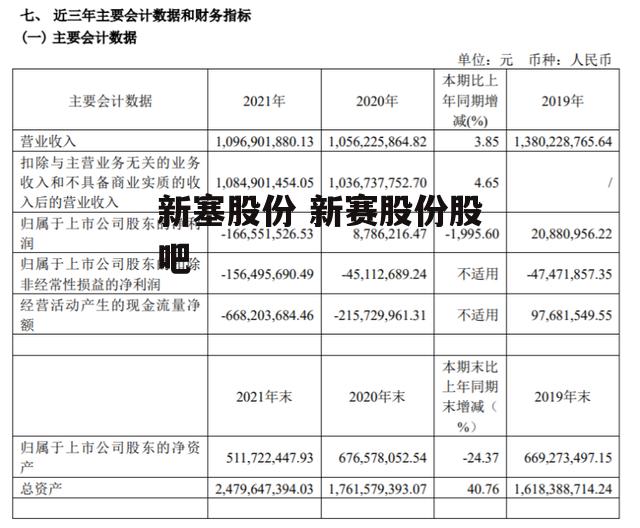 新塞股份 新赛股份股吧