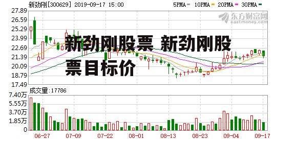 新劲刚股票 新劲刚股票目标价