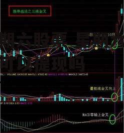 星期六股票 星期六股票可以提现吗