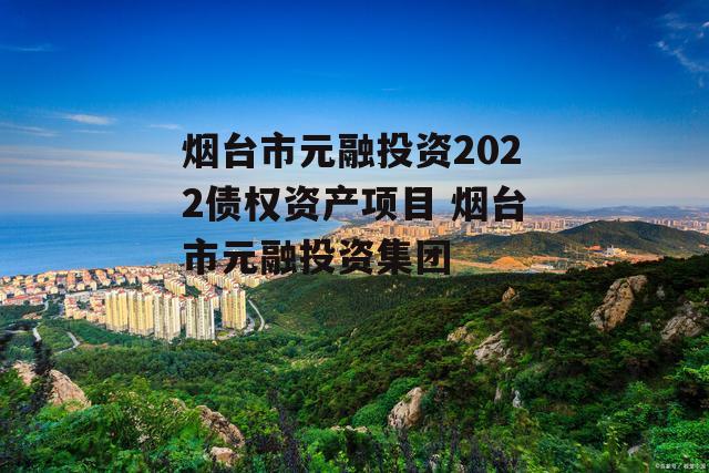 烟台市元融投资2022债权资产项目 烟台市元融投资集团