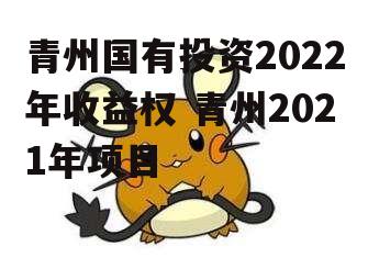 青州国有投资2022年收益权 青州2021年项目