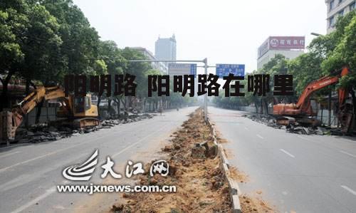 阳明路 阳明路在哪里