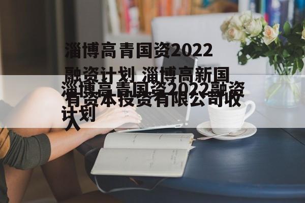 淄博高青国资2022融资计划 淄博高新国有资本投资有限公司收入