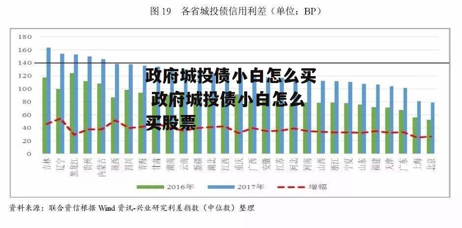 政府城投债小白怎么买 政府城投债小白怎么买股票