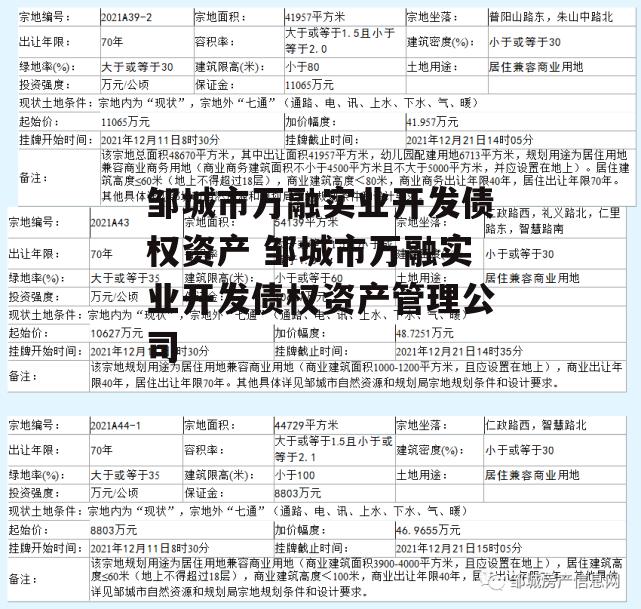 邹城市万融实业开发债权资产 邹城市万融实业开发债权资产管理公司