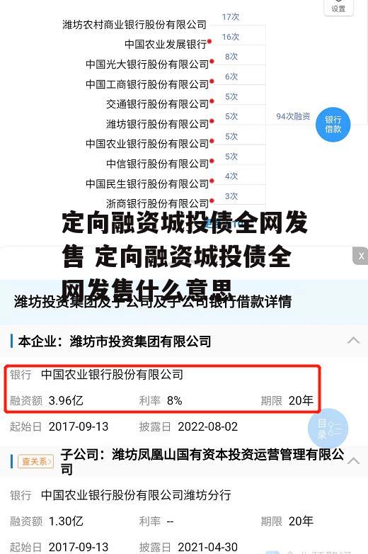 定向融资城投债全网发售 定向融资城投债全网发售什么意思