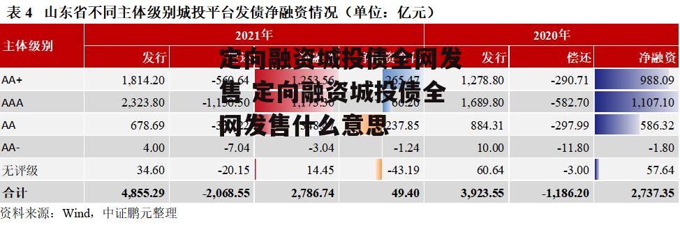 定向融资城投债全网发售 定向融资城投债全网发售什么意思