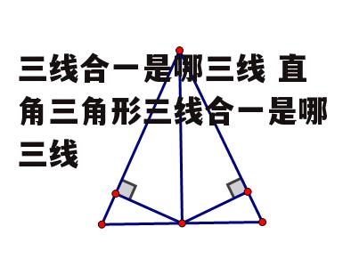 三线合一是哪三线 直角三角形三线合一是哪三线