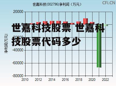 世嘉科技股票 世嘉科技股票代码多少