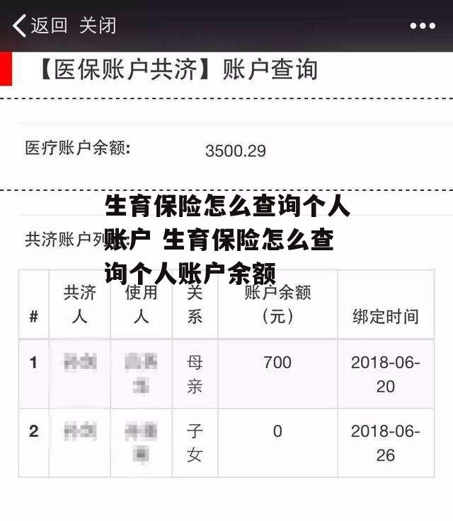 生育保险怎么查询个人账户 生育保险怎么查询个人账户余额