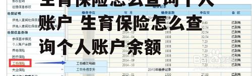 生育保险怎么查询个人账户 生育保险怎么查询个人账户余额