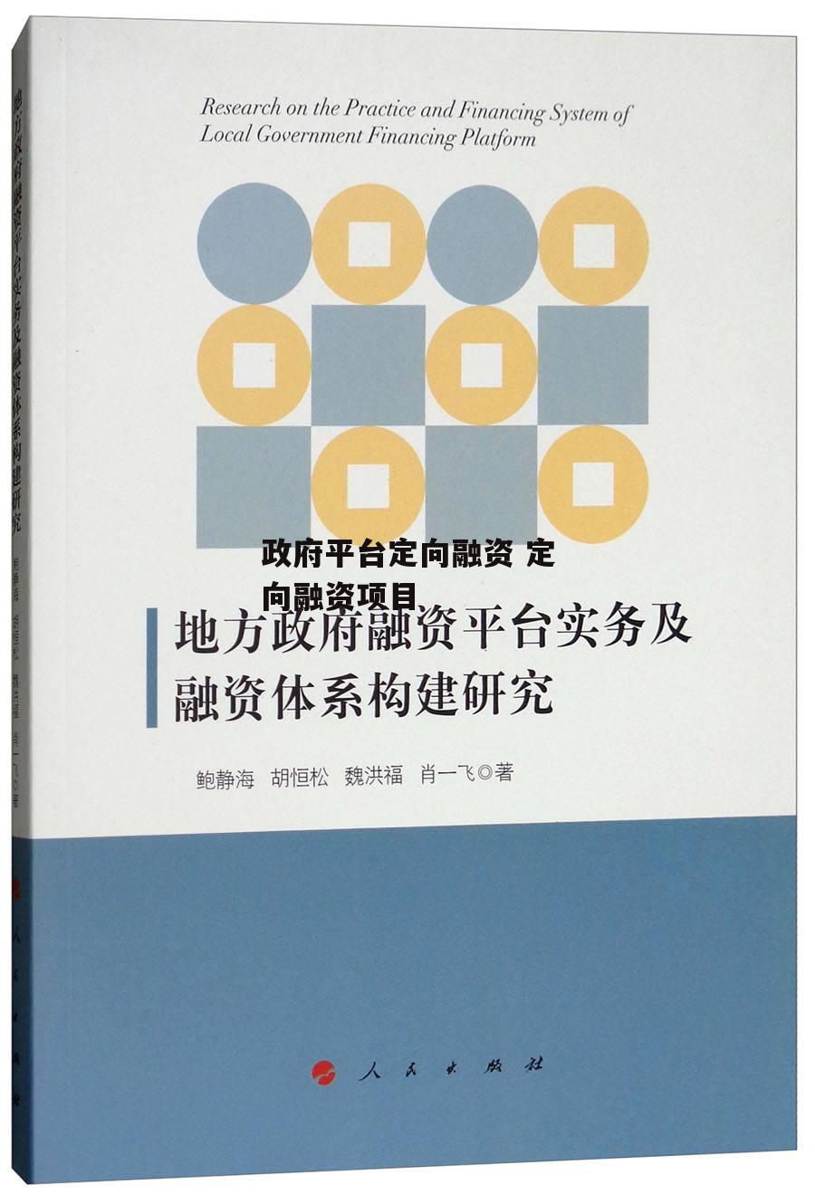 政府平台定向融资 定向融资项目