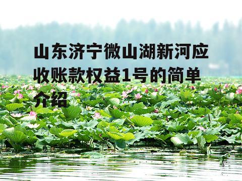 山东济宁微山湖新河应收账款权益1号的简单介绍