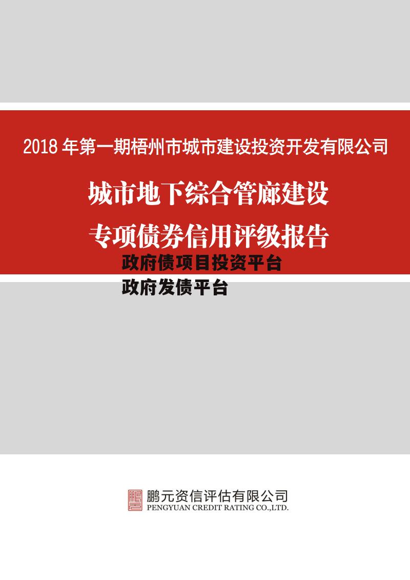 政府债项目投资平台 政府发债平台