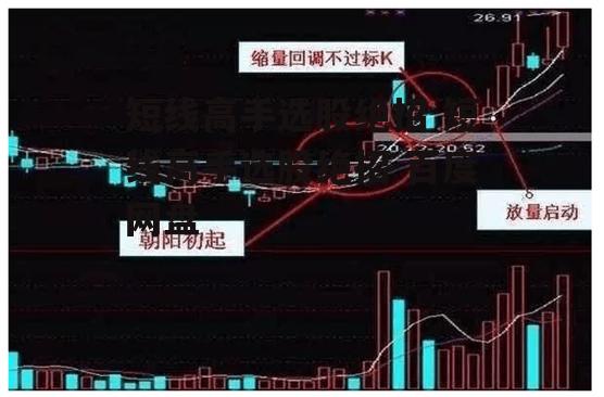 短线高手选股绝招 短线高手选股绝招 百度网盘