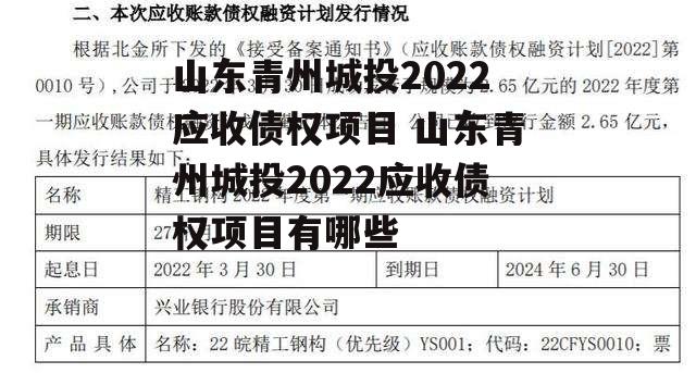 山东青州城投2022应收债权项目 山东青州城投2022应收债权项目有哪些