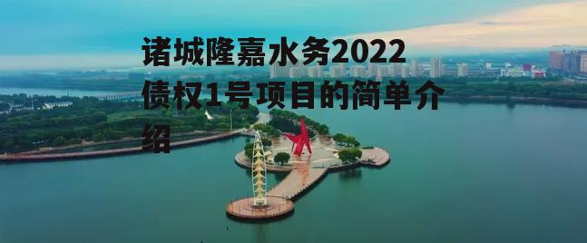 诸城隆嘉水务2022债权1号项目的简单介绍