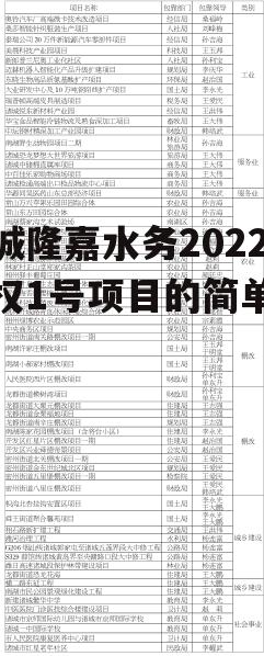 诸城隆嘉水务2022债权1号项目的简单介绍