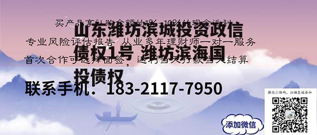 山东潍坊滨城投资政信债权1号 潍坊滨海国投债权