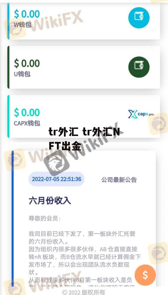 tr外汇 tr外汇NFT出金