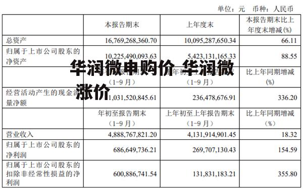 华润微申购价 华润微 涨价