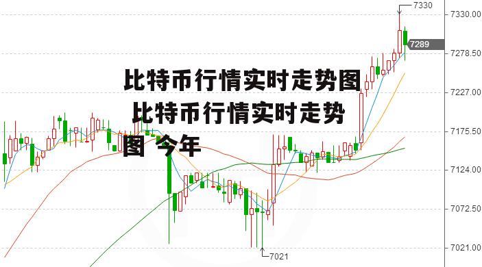 比特币行情实时走势图 比特币行情实时走势图 今年