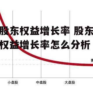 股东权益增长率 股东权益增长率怎么分析