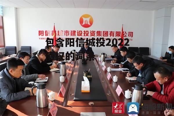 包含阳信城投2022债权的词条